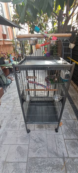 Vând schimb colivie voliera