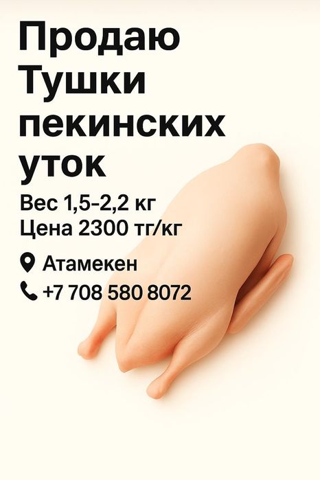 Мясо утки домашняя