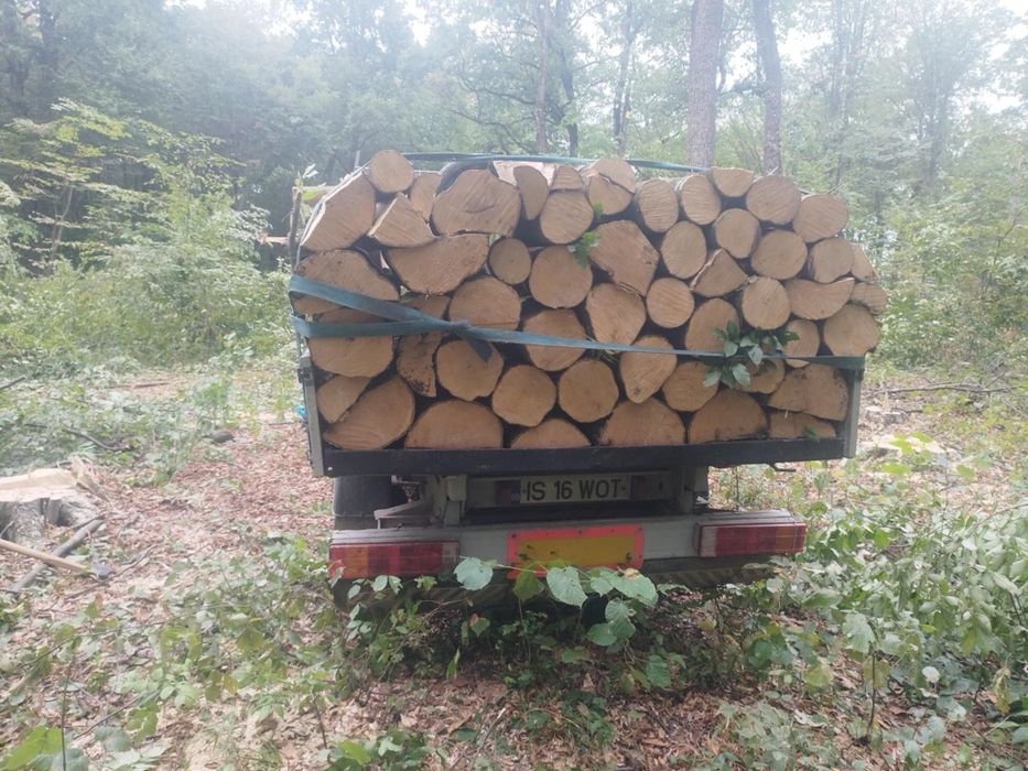 Lemne de foc fag carpăn frasan stejar
