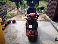 Carucior handicap electric