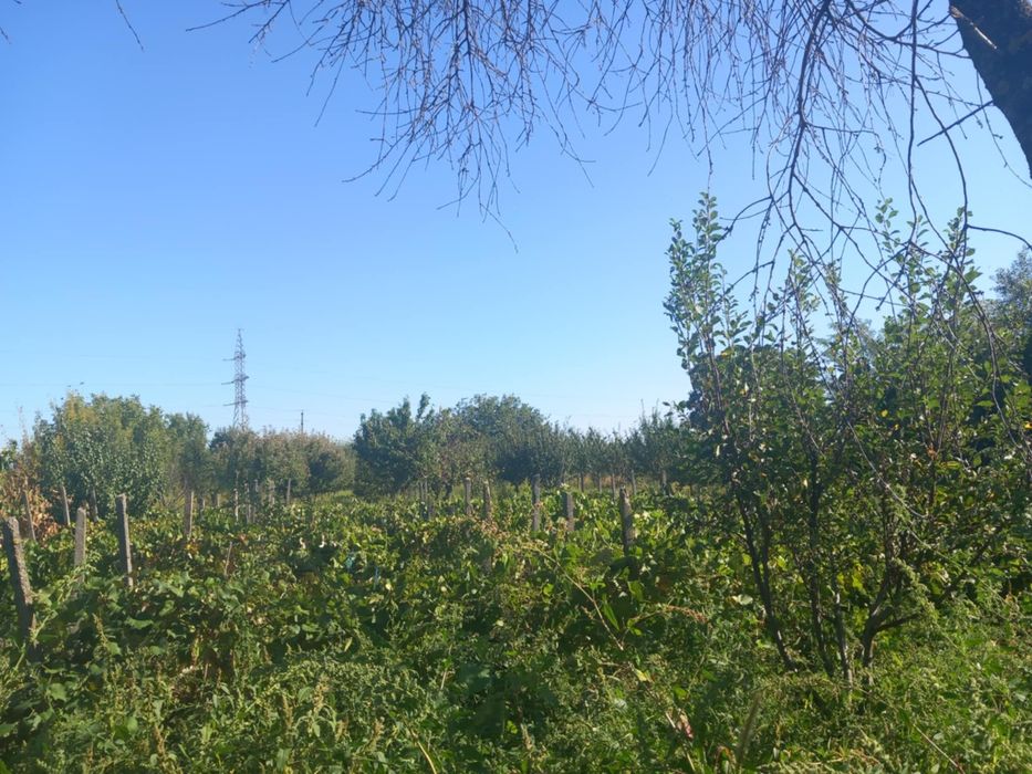 Casă de vânzare cu
