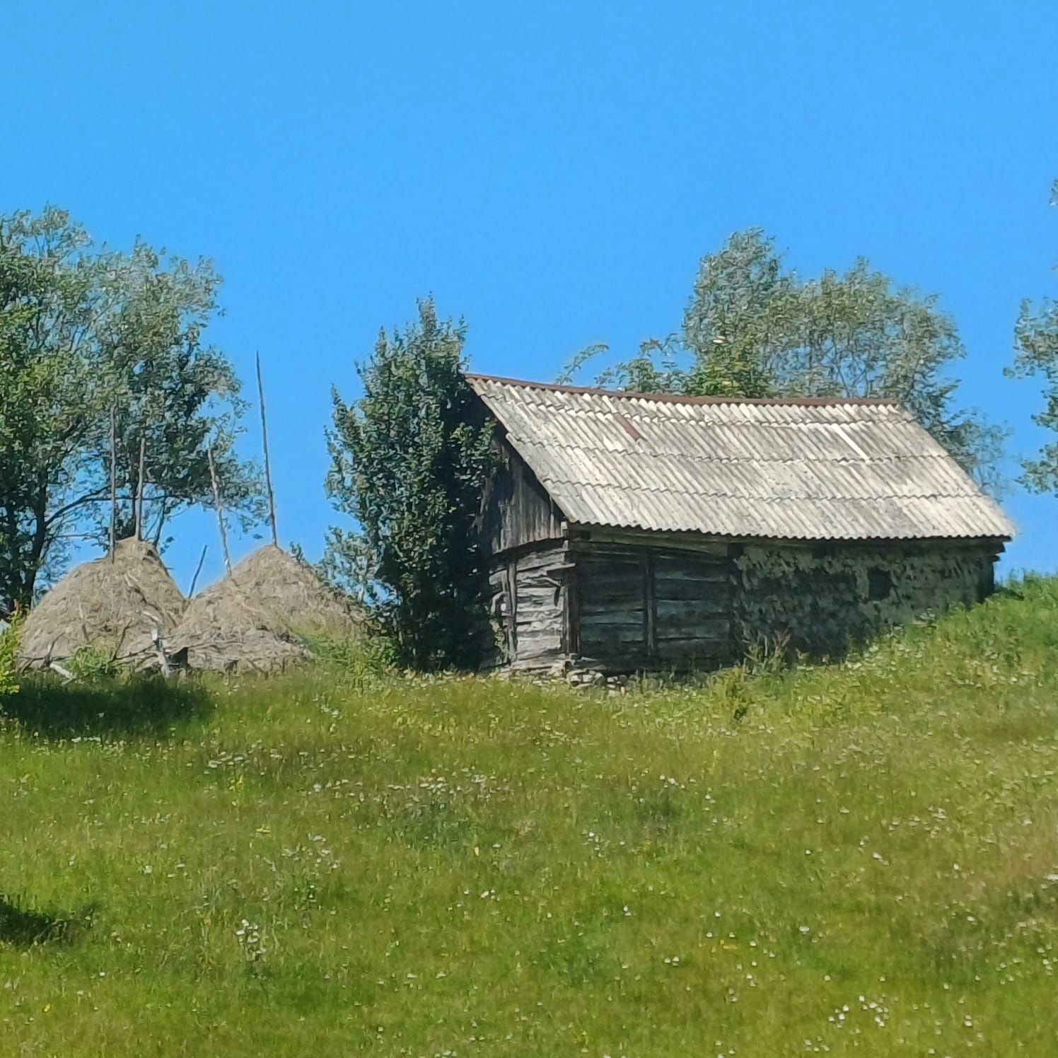 Teren intravilan