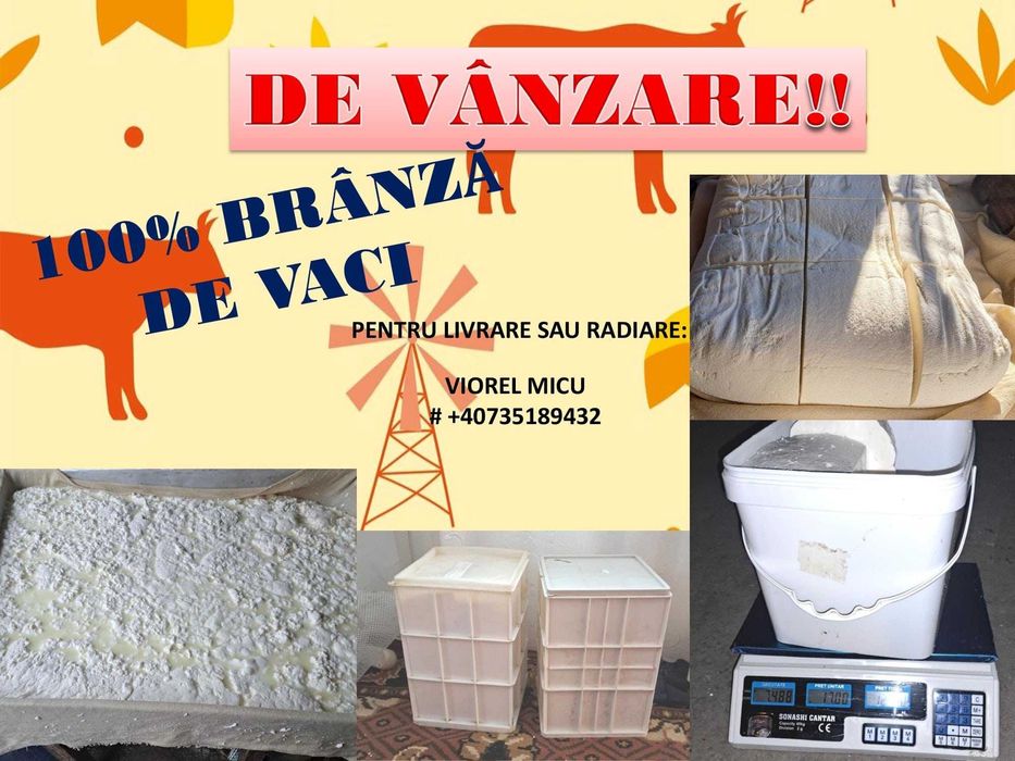 Telemea de vaca  2025