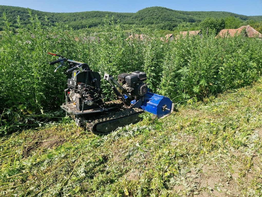 Toaletare/defrisare teren, pajiști, pășuni, spini, livezi napadite