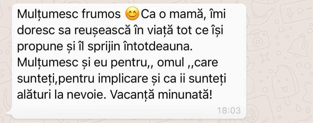 Meditații limba și literatura română
