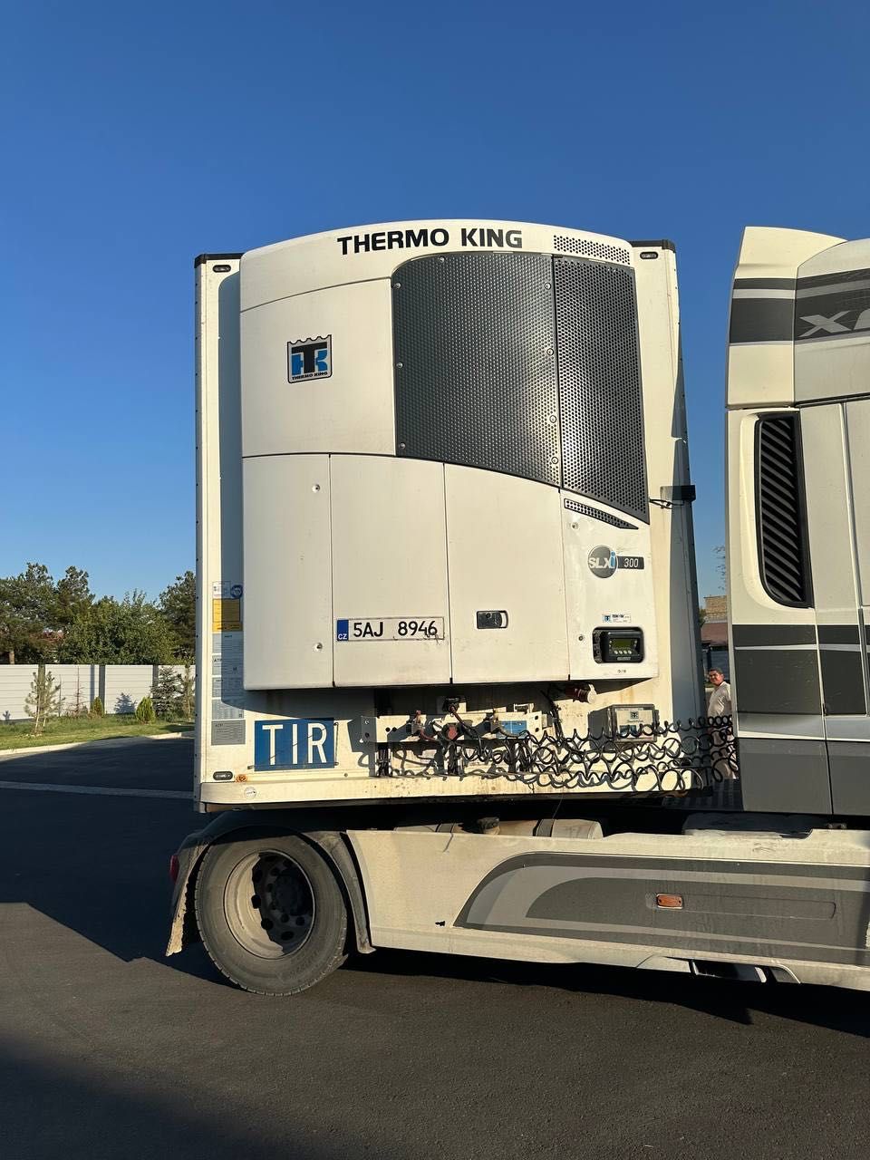 DAF XF EURO 6 + SCHMITZ REF прицеп cотилади