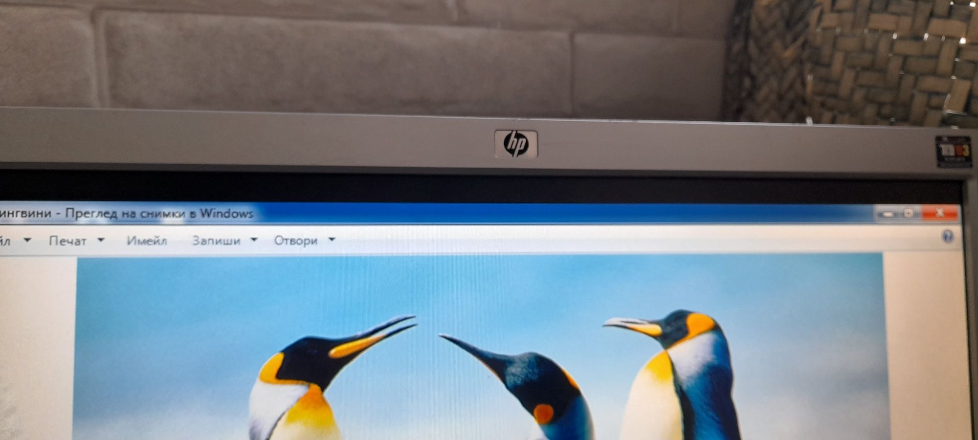 Монитор HP L 1710