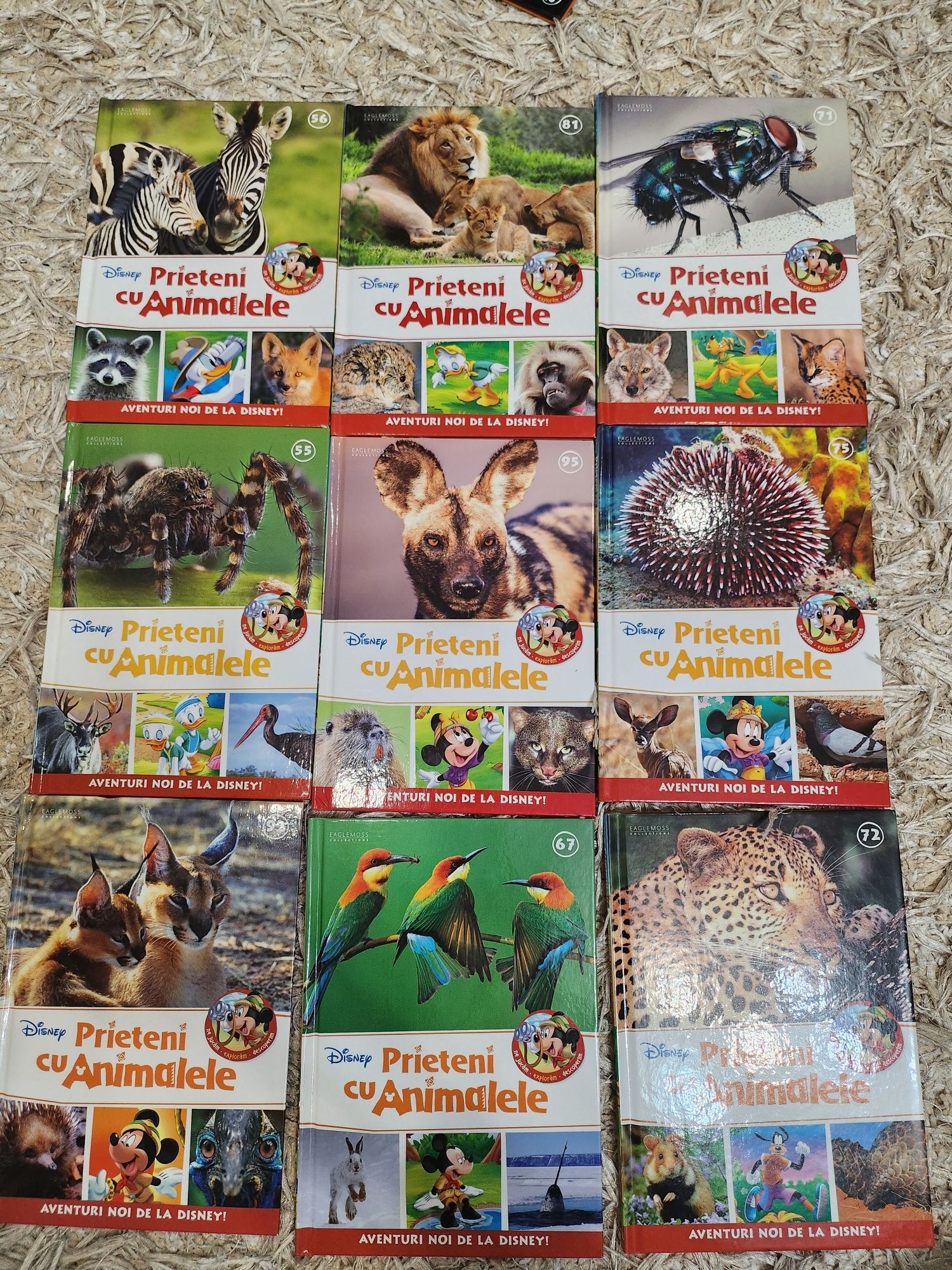 Cărți Disney Prieteni cu animalele