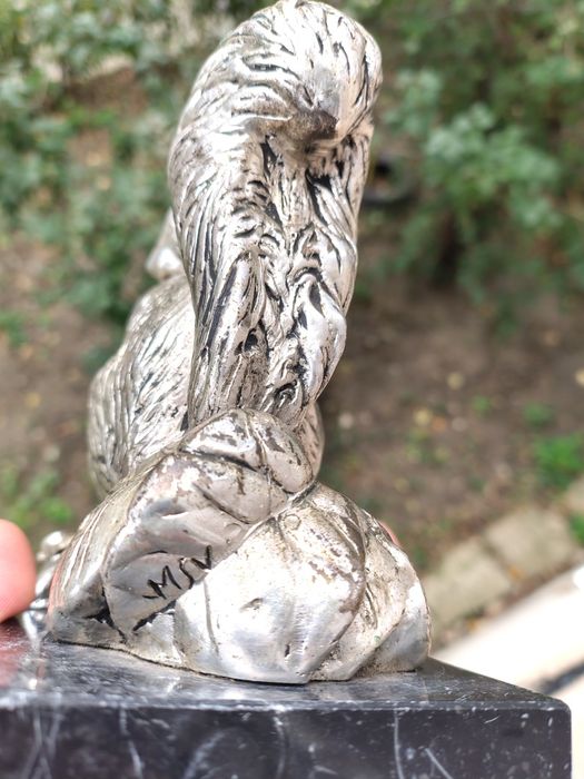 Decorațiune din Argint