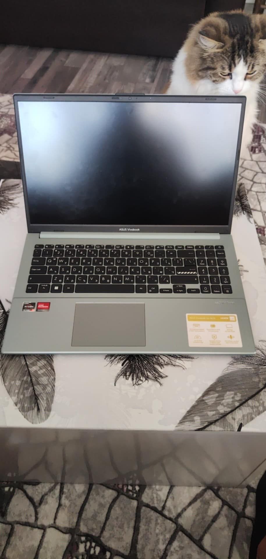 ASUS Vivobook F1504FA