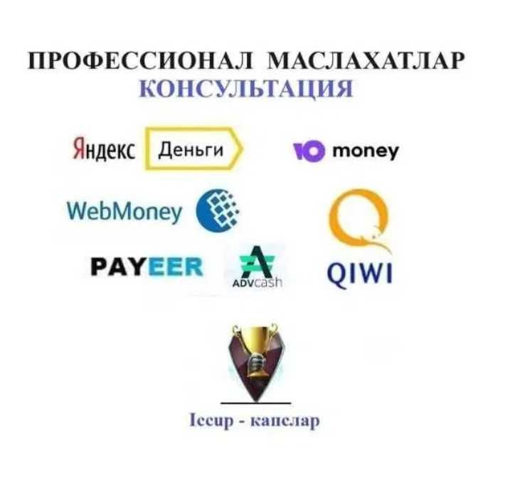 Professional maslahatlar Webmoney, Консультация по Вебмани