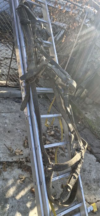 plug, grapa, marcator, prasitoare pentru cal