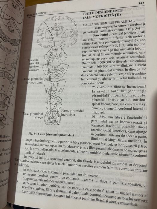 Compendiu Anatomia și fiziologia omului