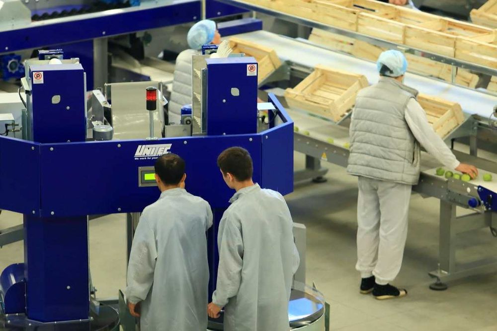 ПРОДАЁТСЯ Сортиров. и уп. линия UNICAL 600S OC. Unitec S.p.A (Италия)