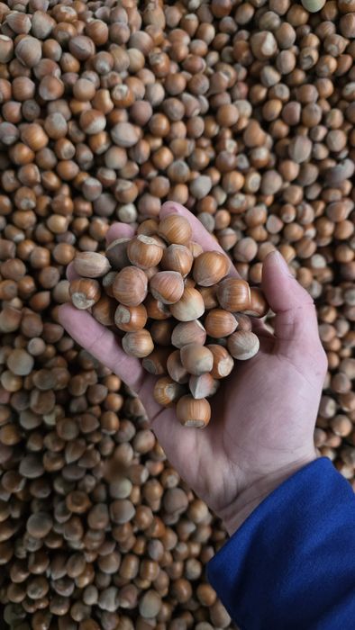 Лешници лично производство