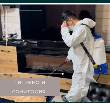 Дезинфекция дезинсекция детаризация от тараканов клопов и грызунов