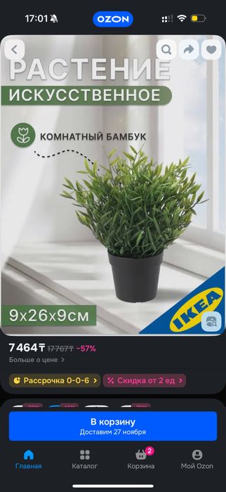 Искусственные расстения IKEA (икеа)