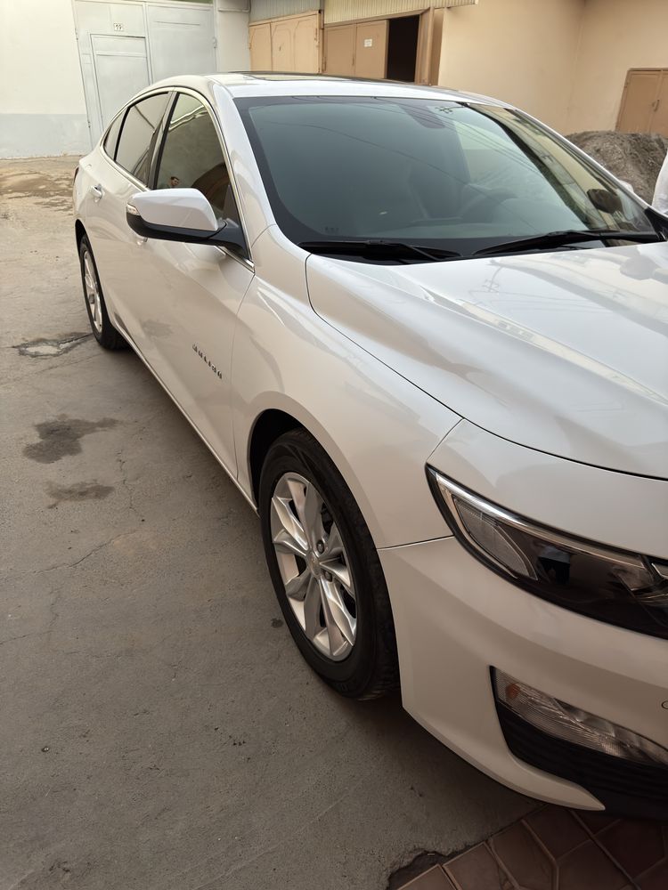 Malibu 2 2019 dekabr ohiri