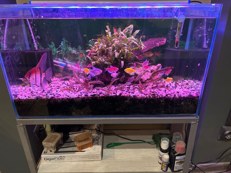 Аквариум 84 литра - отлично състояние