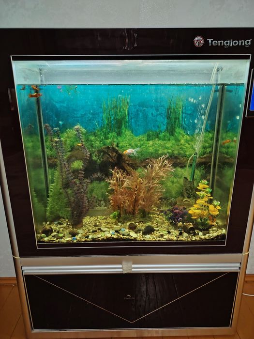 Аквариум в хорошем состоянии сенсорный