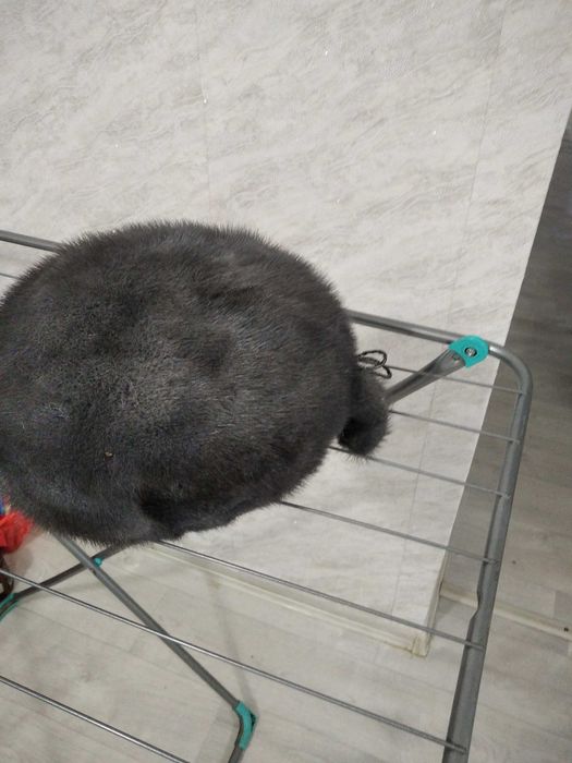 Шапка норка одевали пару раз