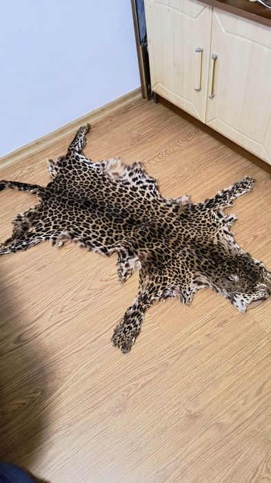 Blana leopard naturala