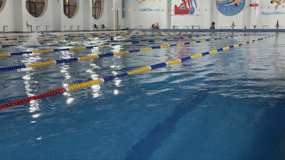 Обучение взростлых? Утром в шесть и всем и вечером посде восьми