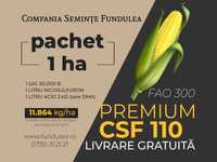 Samanta porumb Premium CSF 110, pachet 1 ha seminte porumb si erbicide