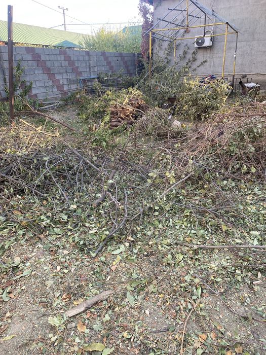 Дрова бесплатно