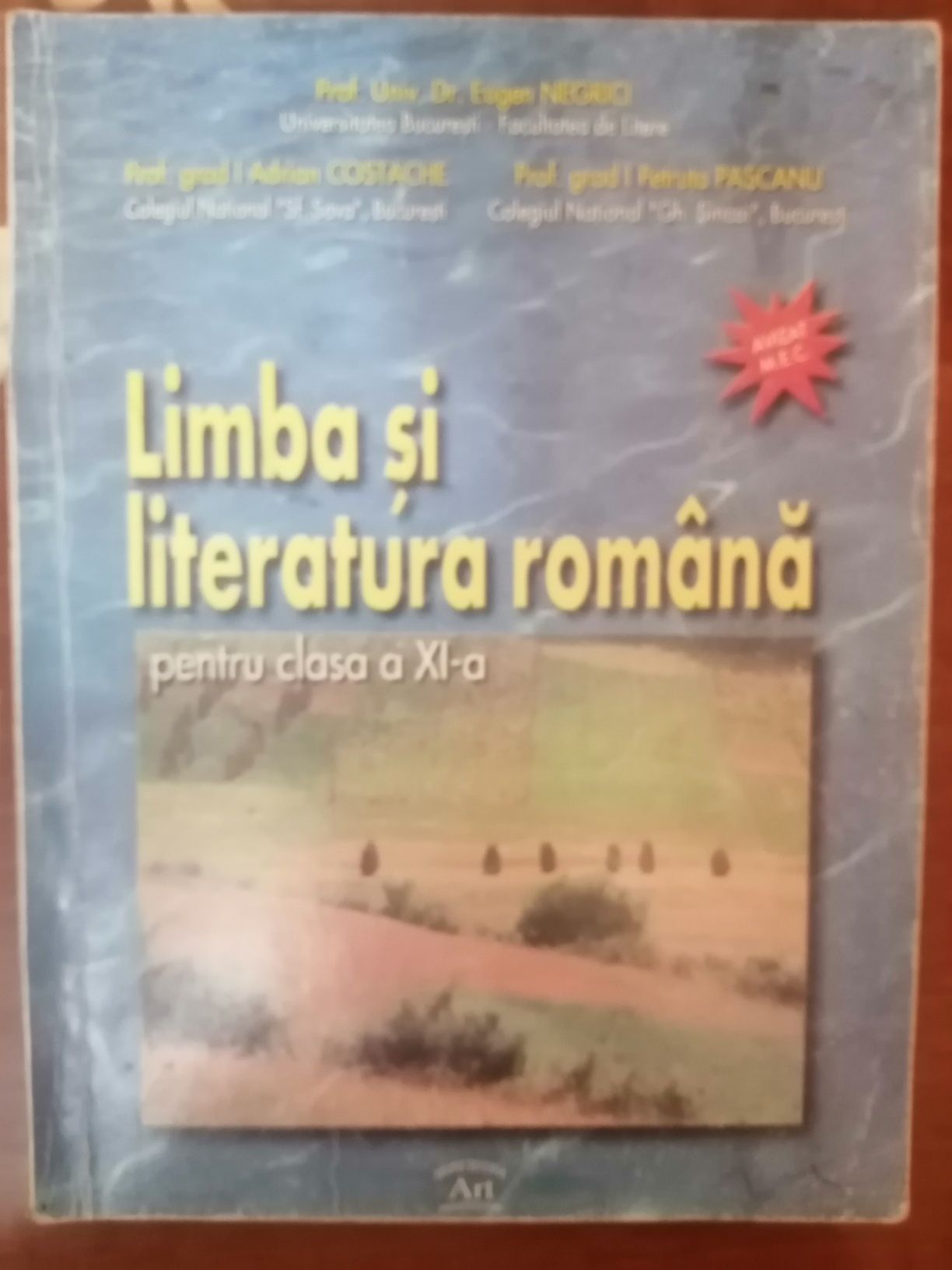 Limba română V, Istorie X, Economie XI, Română X.