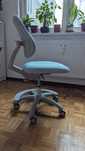 Scaun birou ergonomic pentru copii