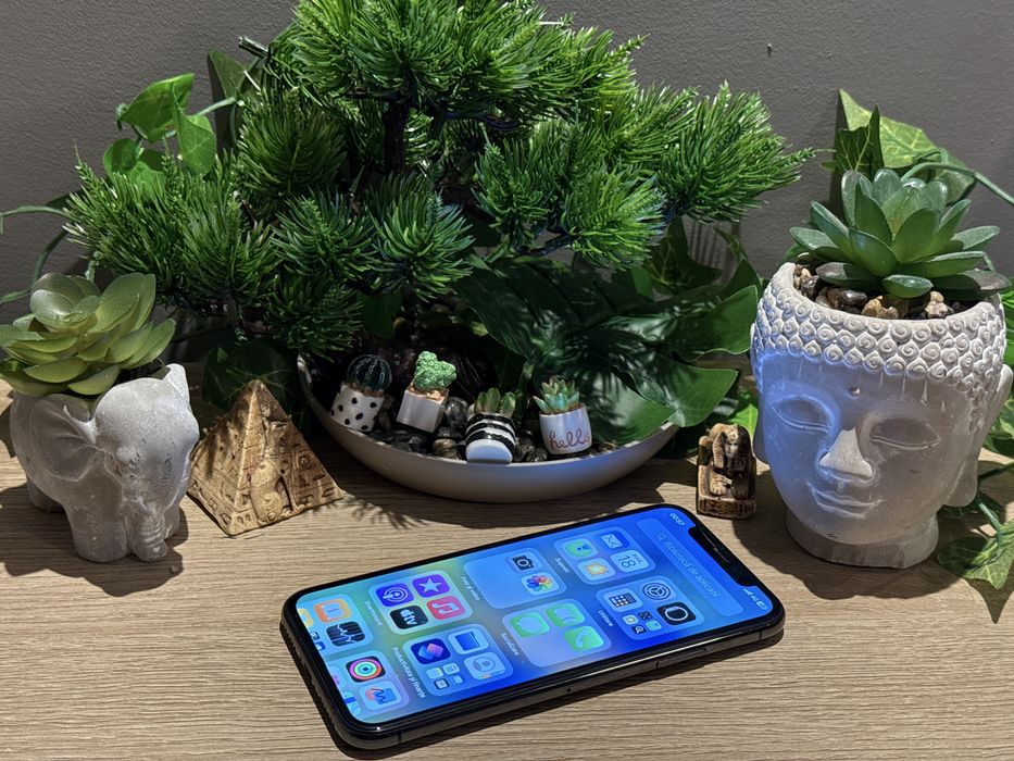 Iphone x ‼️100% baterie‼️