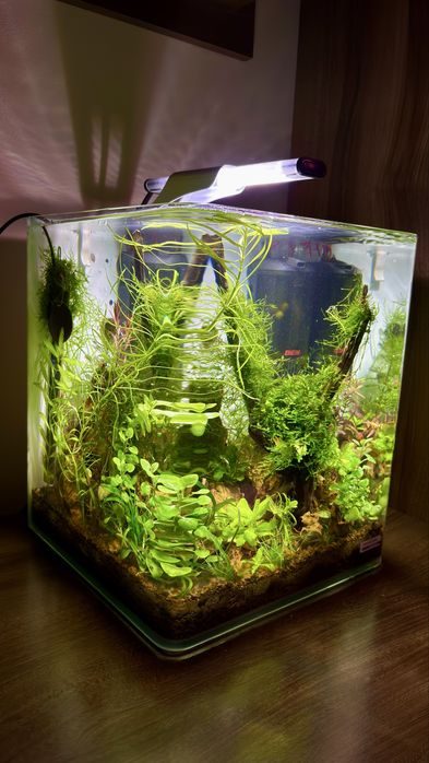 Acvariu cub Dennerle 20L