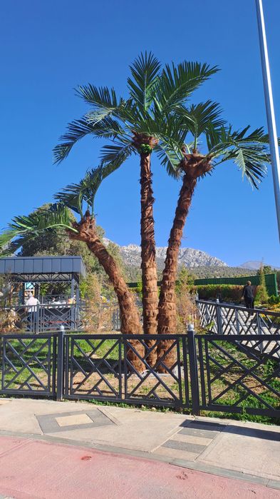 Sun'iy eko palmalar | bepul dizayn loyihasi | 30% chegirma