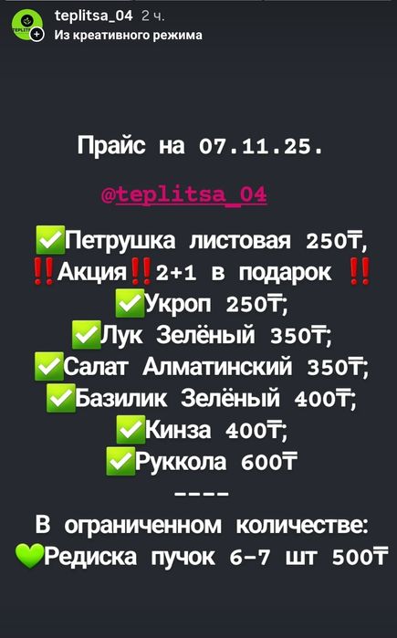 Зелень с грядки. На заказ.