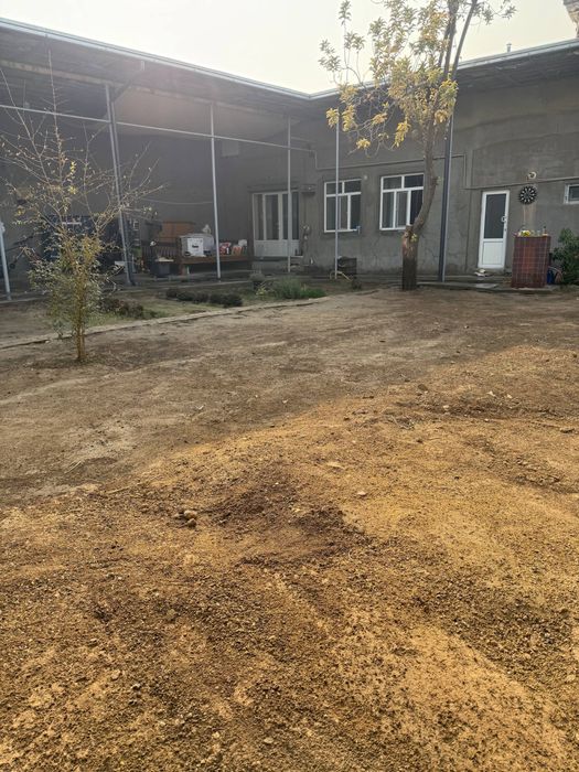 Арча кучада уй сотилади