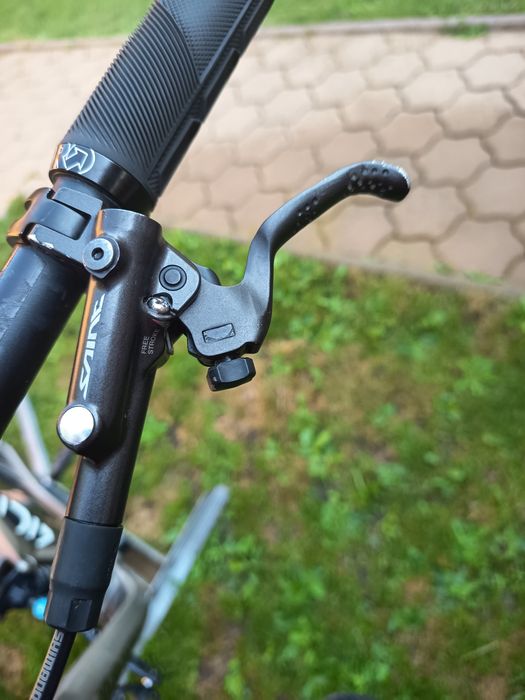 Schott gambler dowhil