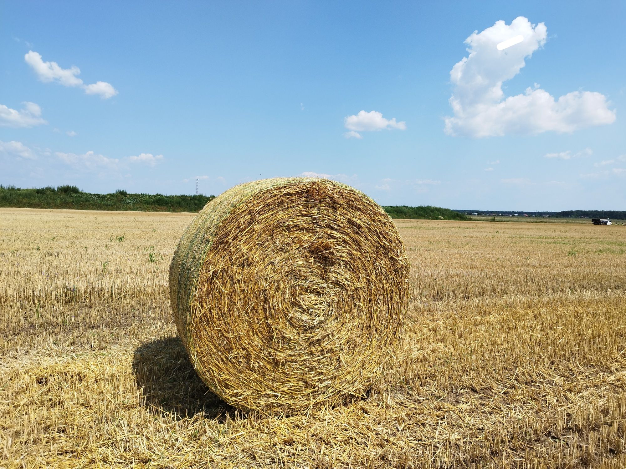Baloți rotunzi de paie de 1.70