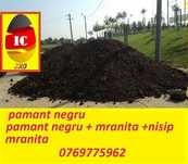 Pamant negru plus mraniță