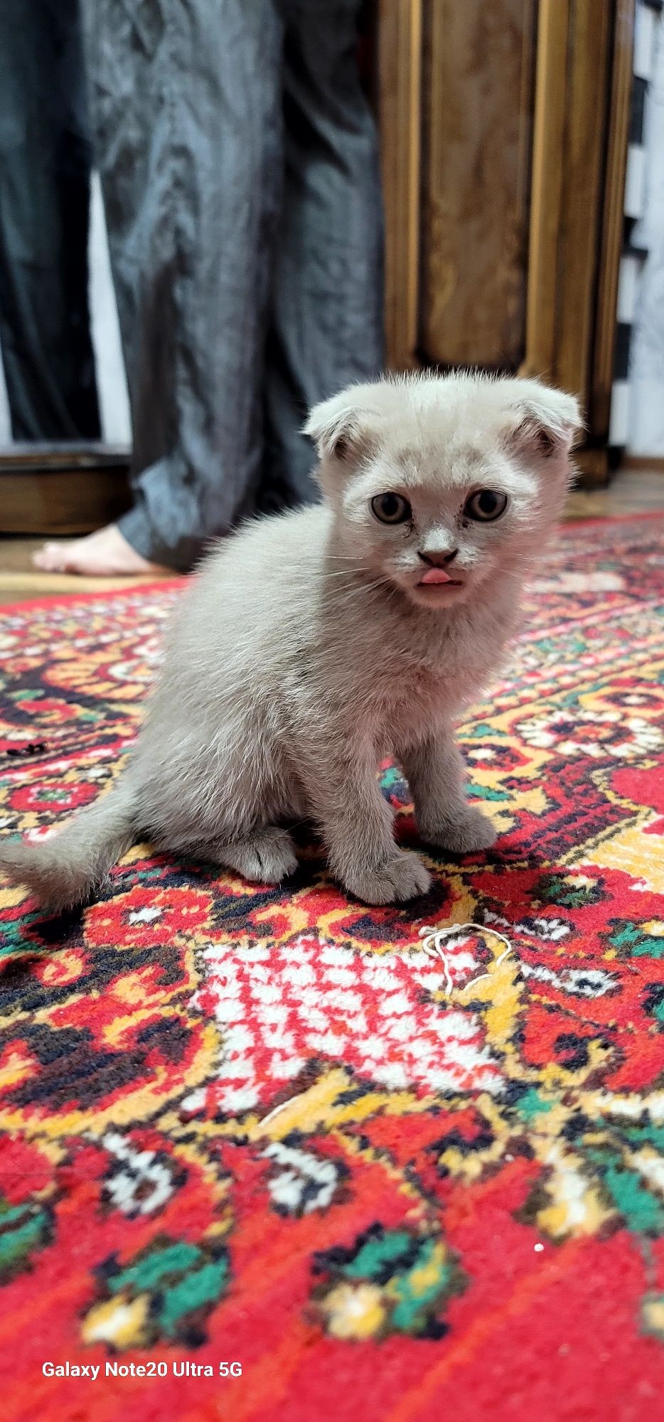 Скотч фол, страйт мушук