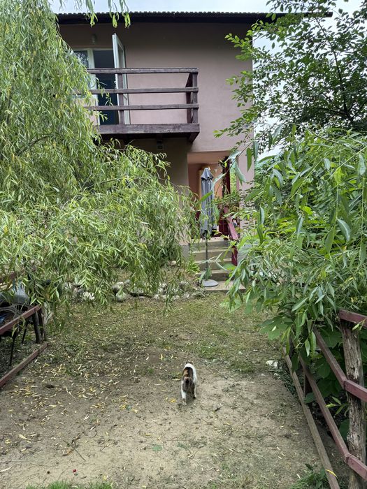 Vand sau schimb cu Bucureşti-Casǎ tip vilǎ Olǎnesti teren 800mp