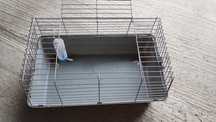 Cușcă iepurași și hamsteri