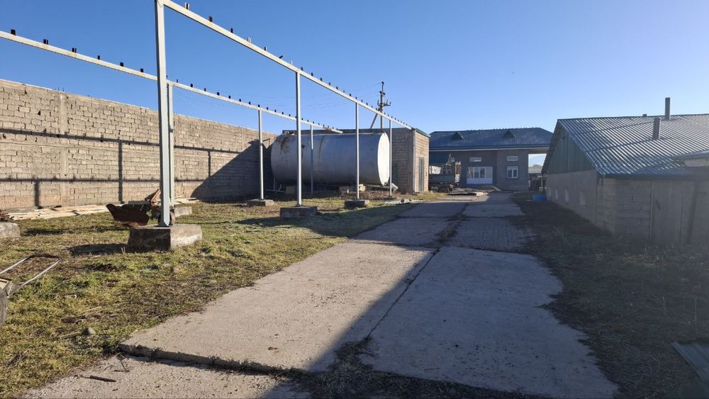 Майскида 7 гектарли ферма сотилади