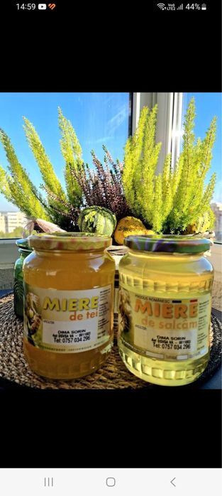 Miere de albine: Polifloră, Tei. Livrare la domiciliu!