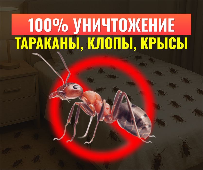 Дезинфекция, Дизинфекция, Шымкент без запаха, тараканы, клапы, муравей