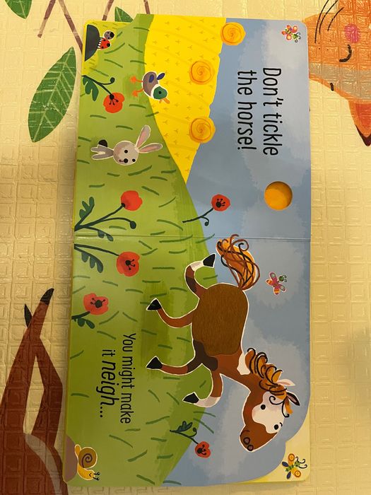 Carte senzoriala Usborne