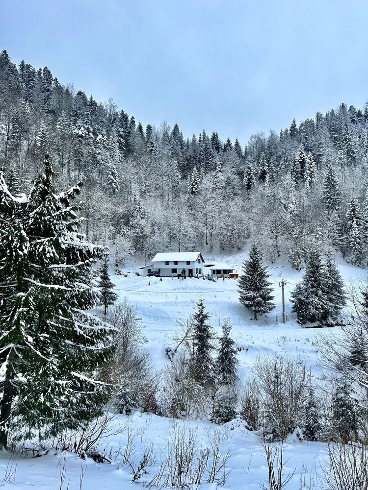 Cabana de închiriat Colibița