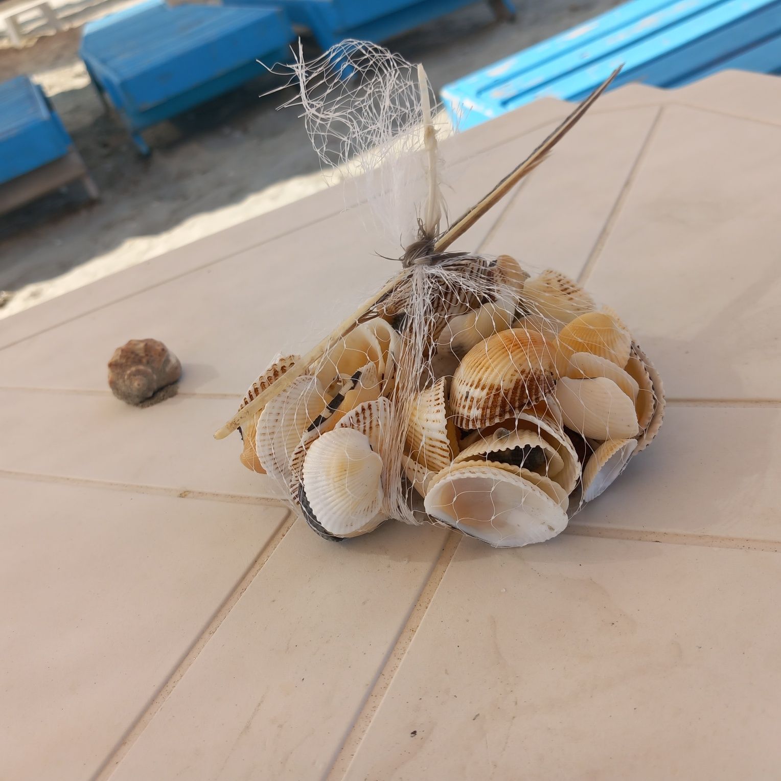 Plasa scoici 200g