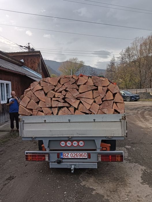 Aduc lemne de foc la comanda fag