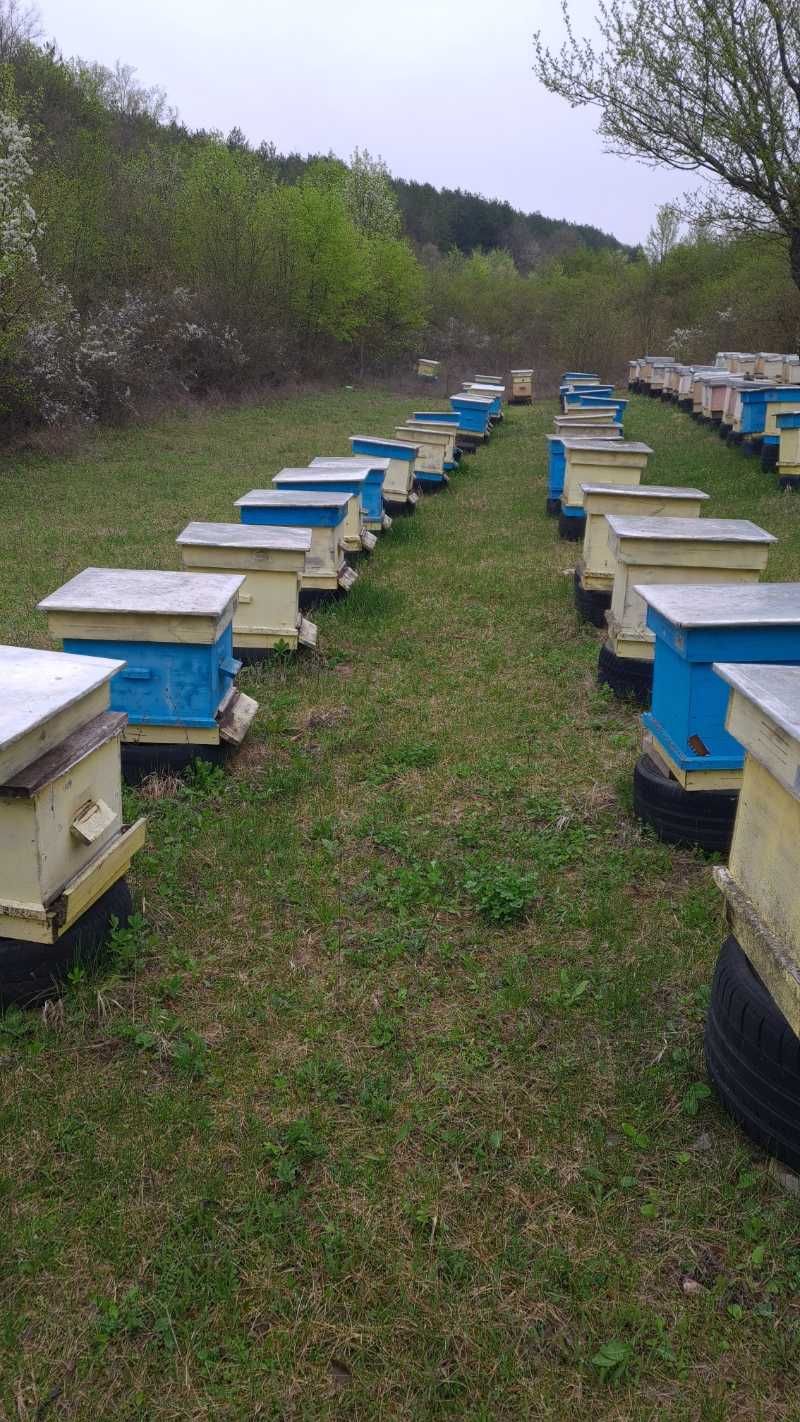 Продавам кошери ползвани